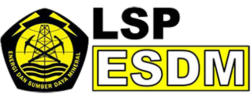 LSP ESDM