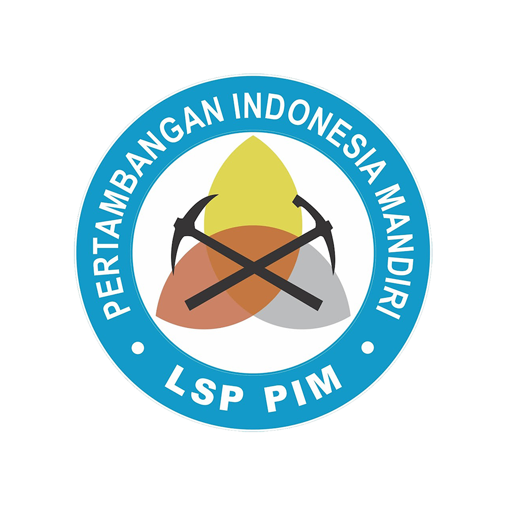 LSP PIM